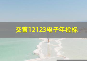 交管12123电子年检标