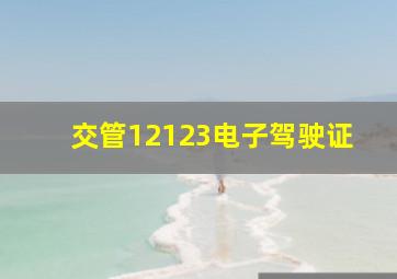 交管12123电子驾驶证