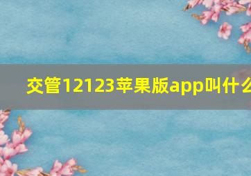 交管12123苹果版app叫什么