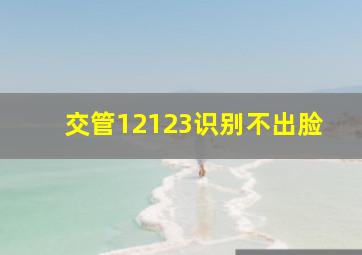 交管12123识别不出脸