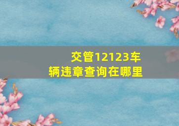 交管12123车辆违章查询在哪里