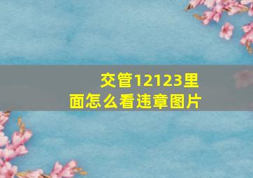 交管12123里面怎么看违章图片