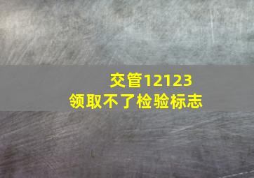 交管12123领取不了检验标志