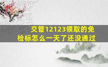 交管12123领取的免检标怎么一天了还没通过