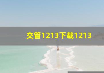 交管1213下载1213