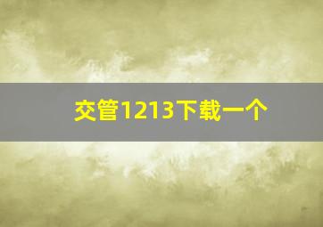 交管1213下载一个