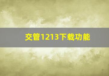 交管1213下载功能