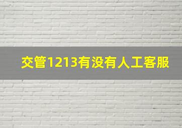 交管1213有没有人工客服