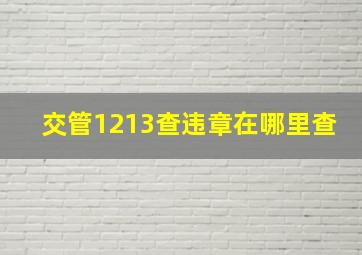 交管1213查违章在哪里查