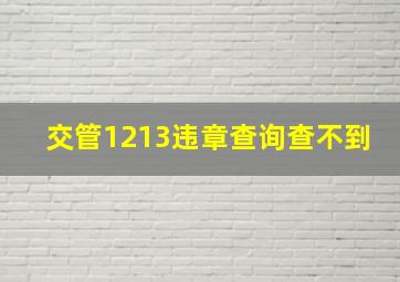 交管1213违章查询查不到