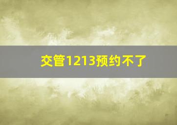 交管1213预约不了