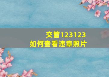 交管123123如何查看违章照片