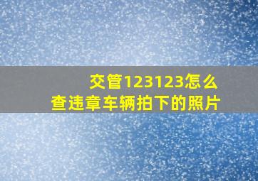 交管123123怎么查违章车辆拍下的照片