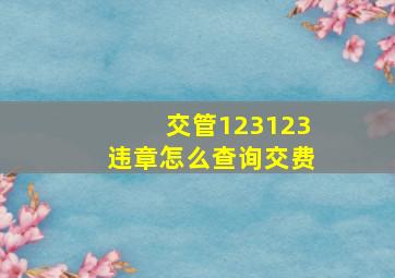 交管123123违章怎么查询交费