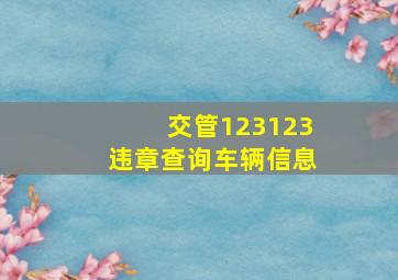 交管123123违章查询车辆信息