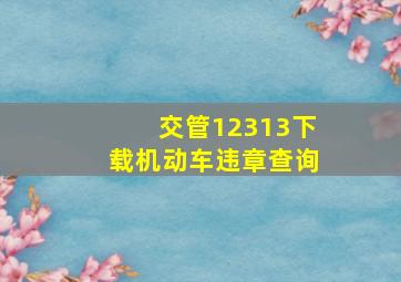 交管12313下载机动车违章查询