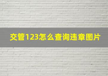 交管123怎么查询违章图片