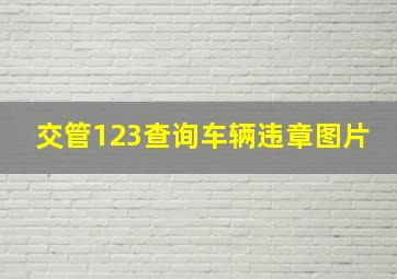 交管123查询车辆违章图片