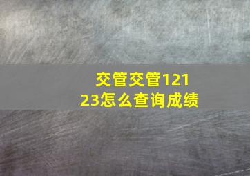 交管交管12123怎么查询成绩