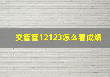 交管管12123怎么看成绩