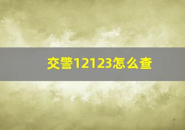 交警12123怎么查