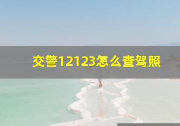 交警12123怎么查驾照