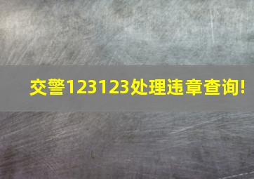 交警123123处理违章查询!