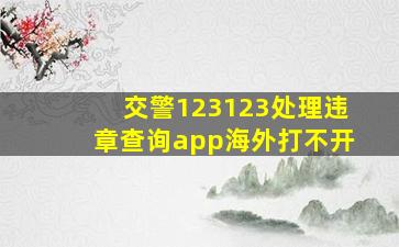 交警123123处理违章查询app海外打不开