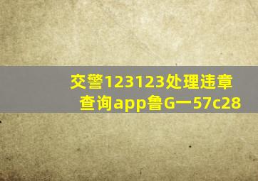 交警123123处理违章查询app鲁G一57c28