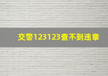 交警123123查不到违章