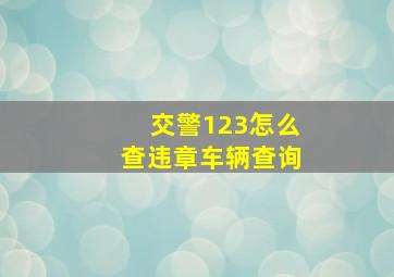 交警123怎么查违章车辆查询