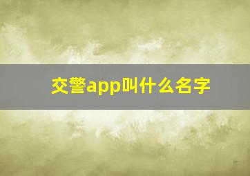 交警app叫什么名字