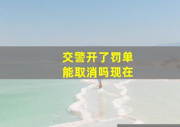 交警开了罚单能取消吗现在