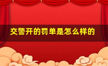 交警开的罚单是怎么样的