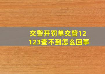 交警开罚单交管12123查不到怎么回事