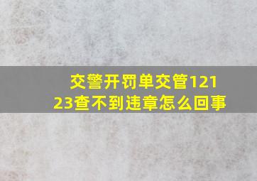 交警开罚单交管12123查不到违章怎么回事