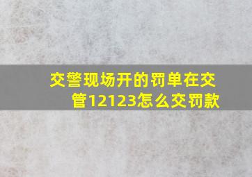 交警现场开的罚单在交管12123怎么交罚款