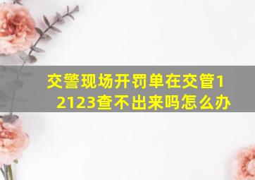 交警现场开罚单在交管12123查不出来吗怎么办