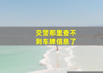 交警那里查不到车牌信息了