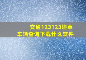 交通123123违章车辆查询下载什么软件