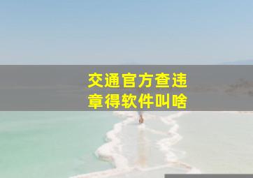 交通官方查违章得软件叫啥