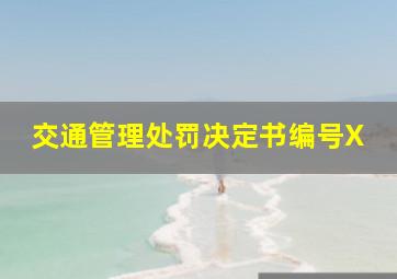 交通管理处罚决定书编号X