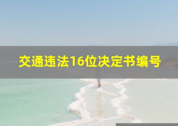 交通违法16位决定书编号