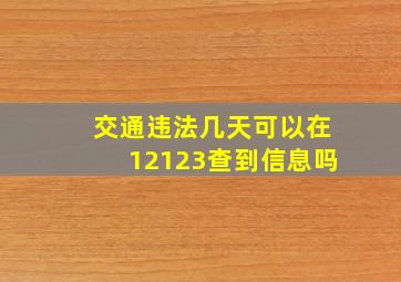 交通违法几天可以在12123查到信息吗