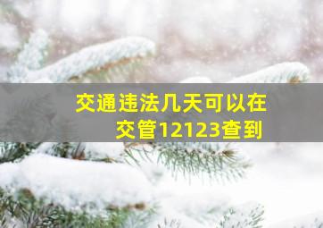 交通违法几天可以在交管12123查到