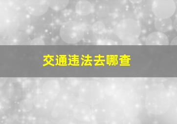 交通违法去哪查