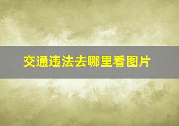 交通违法去哪里看图片