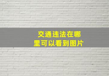 交通违法在哪里可以看到图片