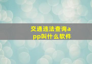 交通违法查询app叫什么软件