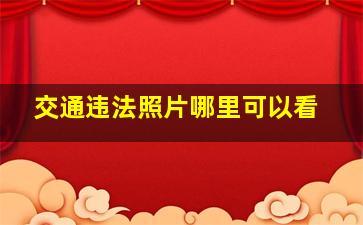 交通违法照片哪里可以看